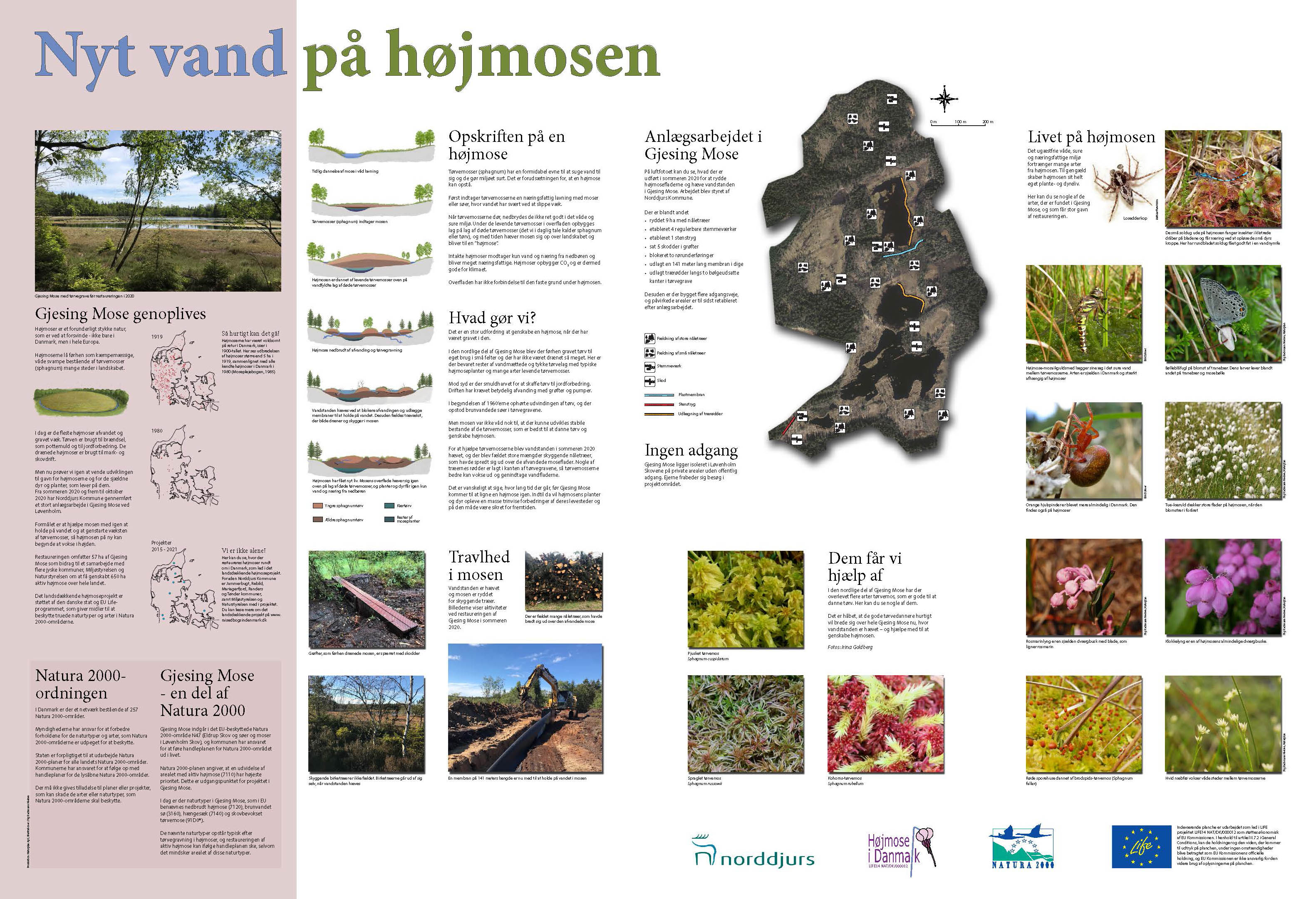 Informationstavle om genoprettelsen af Gjesing Mose. Tavlen er udført i samarbejde med Norddjurs Kommune i 2020. Tegninger: Stig Bachmann Nielsen